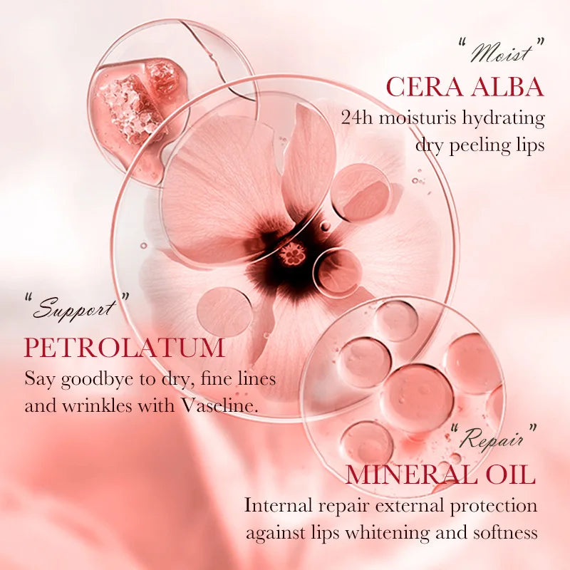 S3b615bfae95c440f8e844e2e93963a5fq