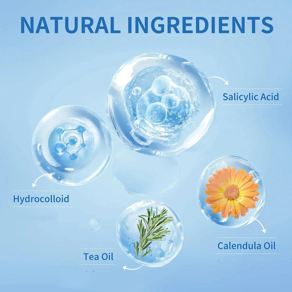 S7d62753183424d6e9f8af6cb2772b19c5